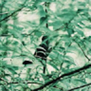 Meet your Posher, Noemie